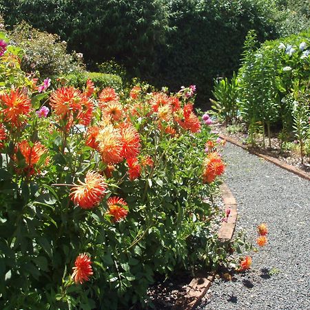 Boat Harbour Garden Cottages Buitenkant foto