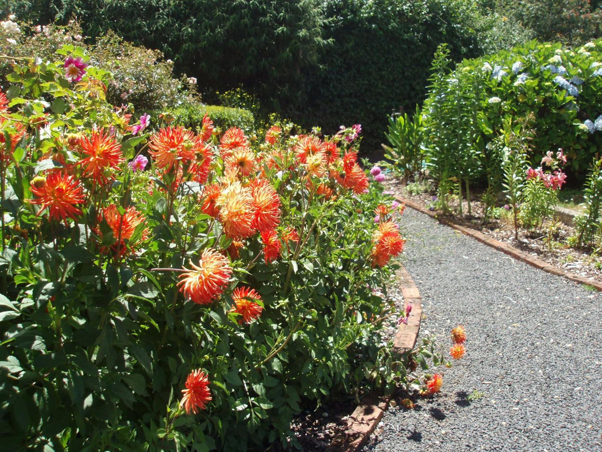 Boat Harbour Garden Cottages Buitenkant foto